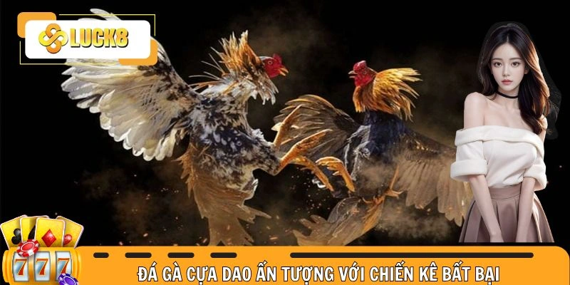 Đá gà cựa dao ấn tượng với chiến kê bất bại 